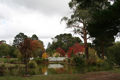 autumn reflection garden landscape lewisham australia victoria mtmacedon