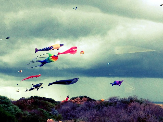 Semaphore kite festival