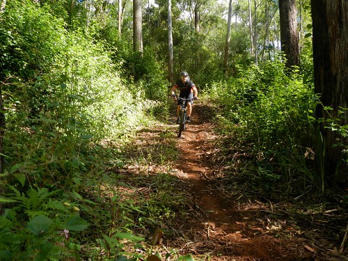 forest cycling state mtb deongwar