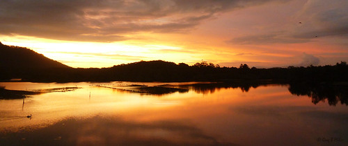 sunset australia nsw northhaven stingraycreek