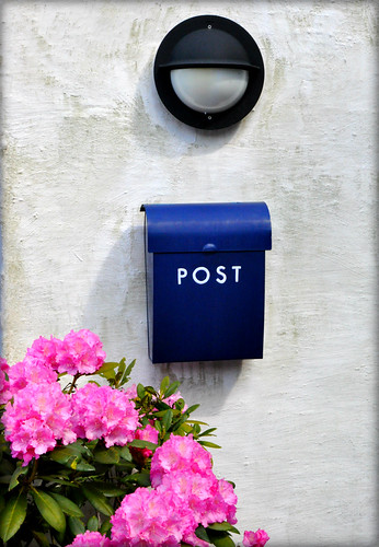 Post | by Cecilia Condal