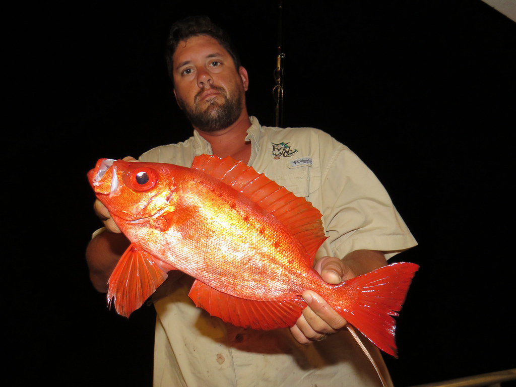 Bigeye Snapper- Facts and Photographs