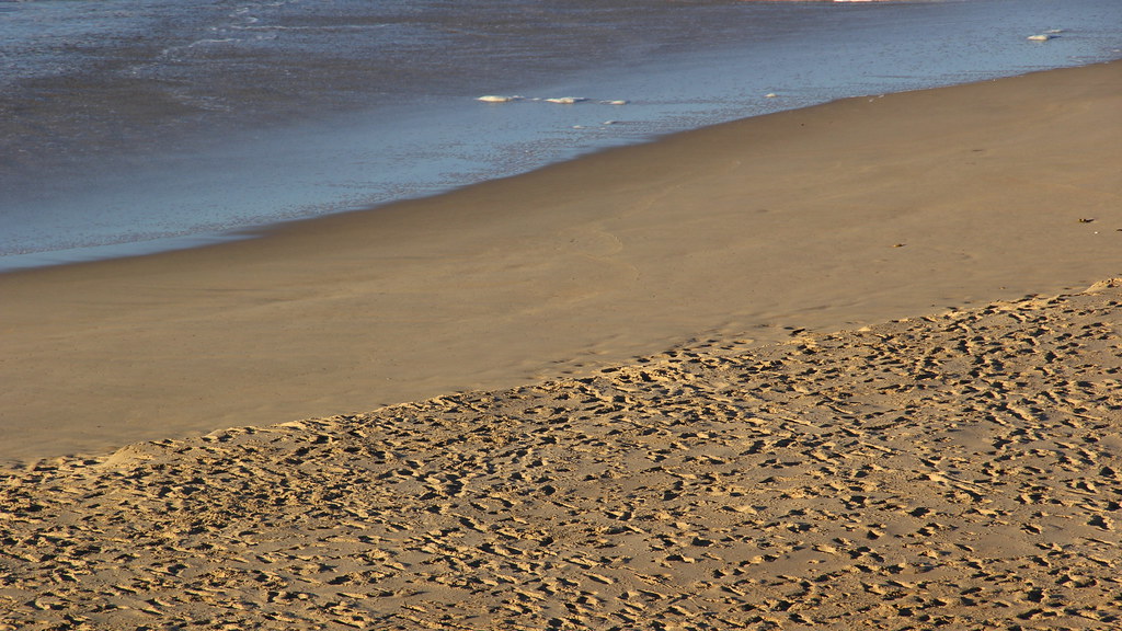 The Trodden Beach