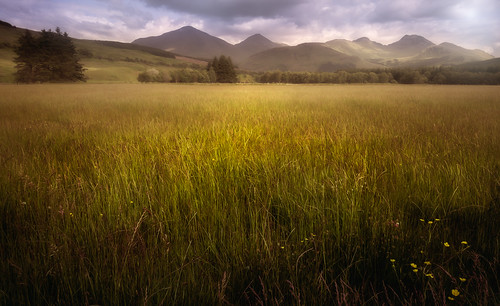crianlarich hills scotland scottish highlands westhighlandway fields landscape fineart grassland grass rural countryside