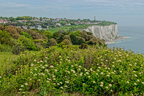 sea water cliff trees bushes houses plants grass sky kent dover