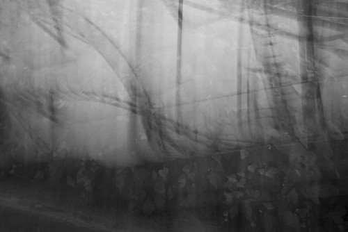 Blur-double symbolisme-réflexion-noir et blanc