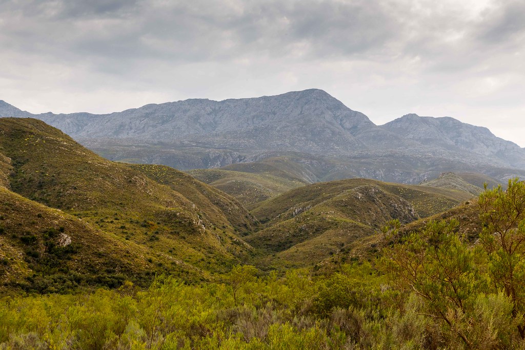 Valley and hills in Calitzdorp