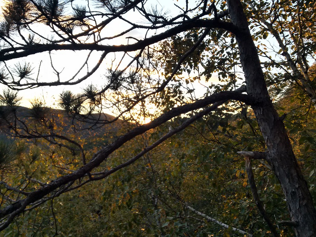 Rattlesnake Mtn