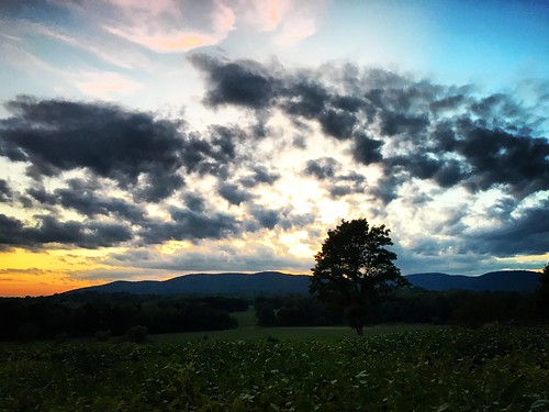 sunset clouds sky tree mountains iphone iphoneography magic field skyline