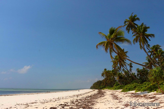 Zanzibar's White Beaches