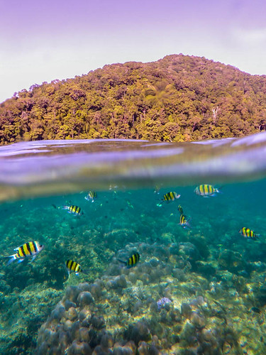 Similan Islands, Thailand