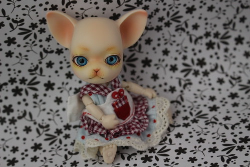 Cherry-pang | by pullip_junk