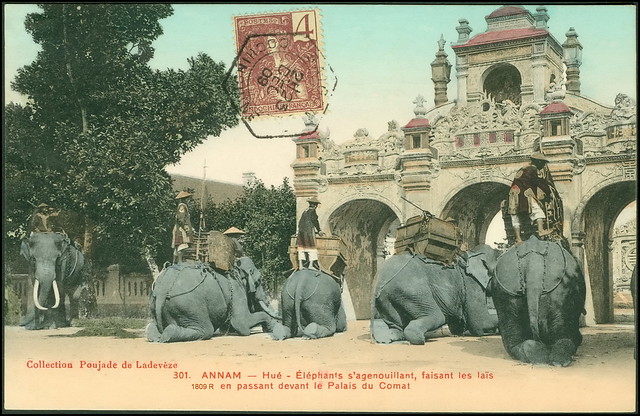 Annam Indochine Collection Poujade de Ladevèze - Hué - Éléphants agenouillant, faisant les maïs en passant devant le Palais du Comat 23. XII.1909.