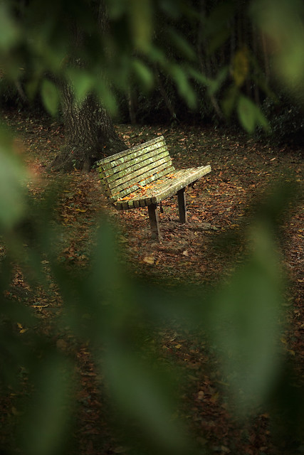 secret bench