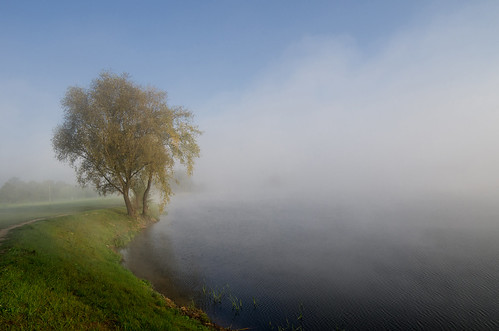 pentax radymno samyang14mm zek autumn fog lake landscape misty morning morninglight softlight tree województwopodkarpackie polska
