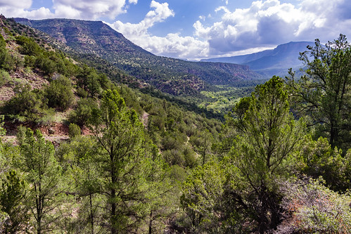 arizona coconinonationalforest flumetrail forestservice fossilcreek fossilsprings fossilspringswilderness nationalforest pentaxk1 redrockrangerdistrict tontonationalforest usfs canyon desert forest hiking outdoors riparian summer wilderness strawberry