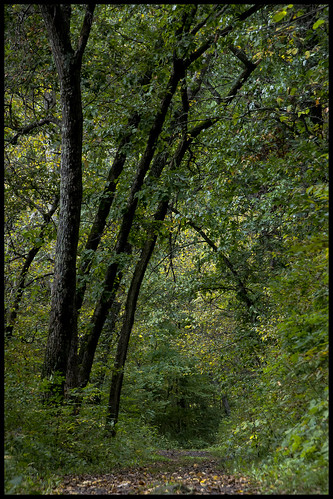 interstate park taylor fall fallcolors foliage trees autumn trail d7100 cb1956 nikon