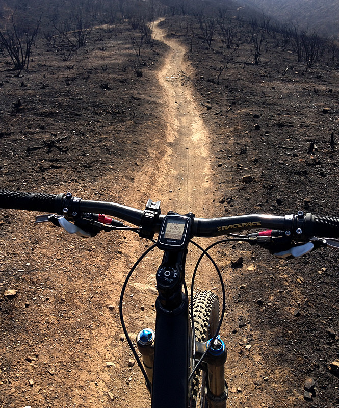 Coyote Trail