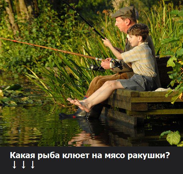 Почему не ловится рыба