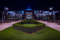 Iron Mosque at Night