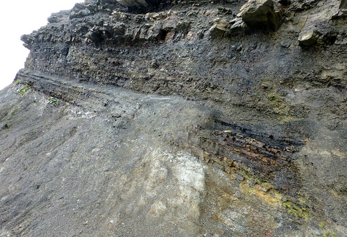 geology carboniferous sandstone mudstone coal novascotia