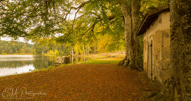Autumn in Auvergne.
