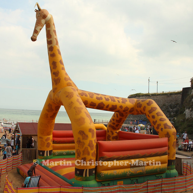 Bouncy Giraffe