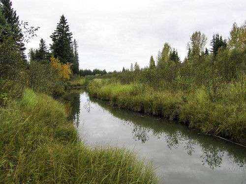 Eagle Point-Blue Rapids Park System