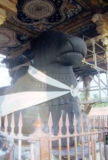 Nandhi Bull, Brihadeeshwara Temple, Thanjavur
