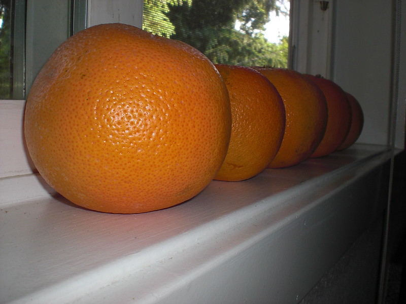 Grapefruits on a Windowsill