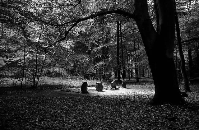 Einsame Gräber im dunklen Wald