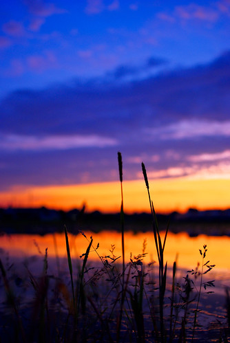 blue sunset sky orange cloud reflection grass silhouette pentax bokeh km
