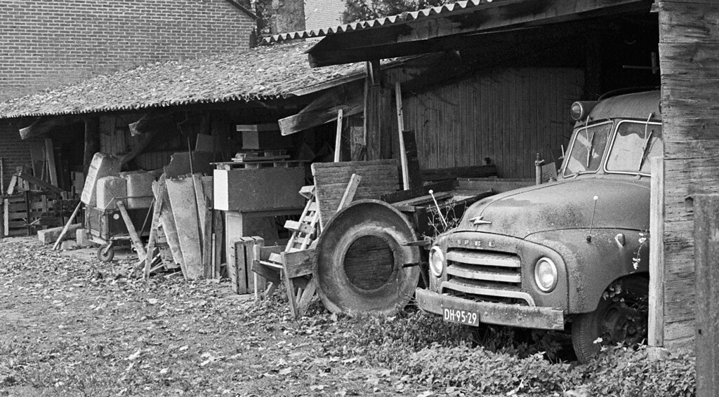 DH-95-29: Blitz asobak