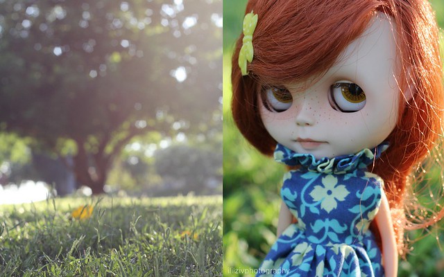Dolly Diptych Weekly 26\52