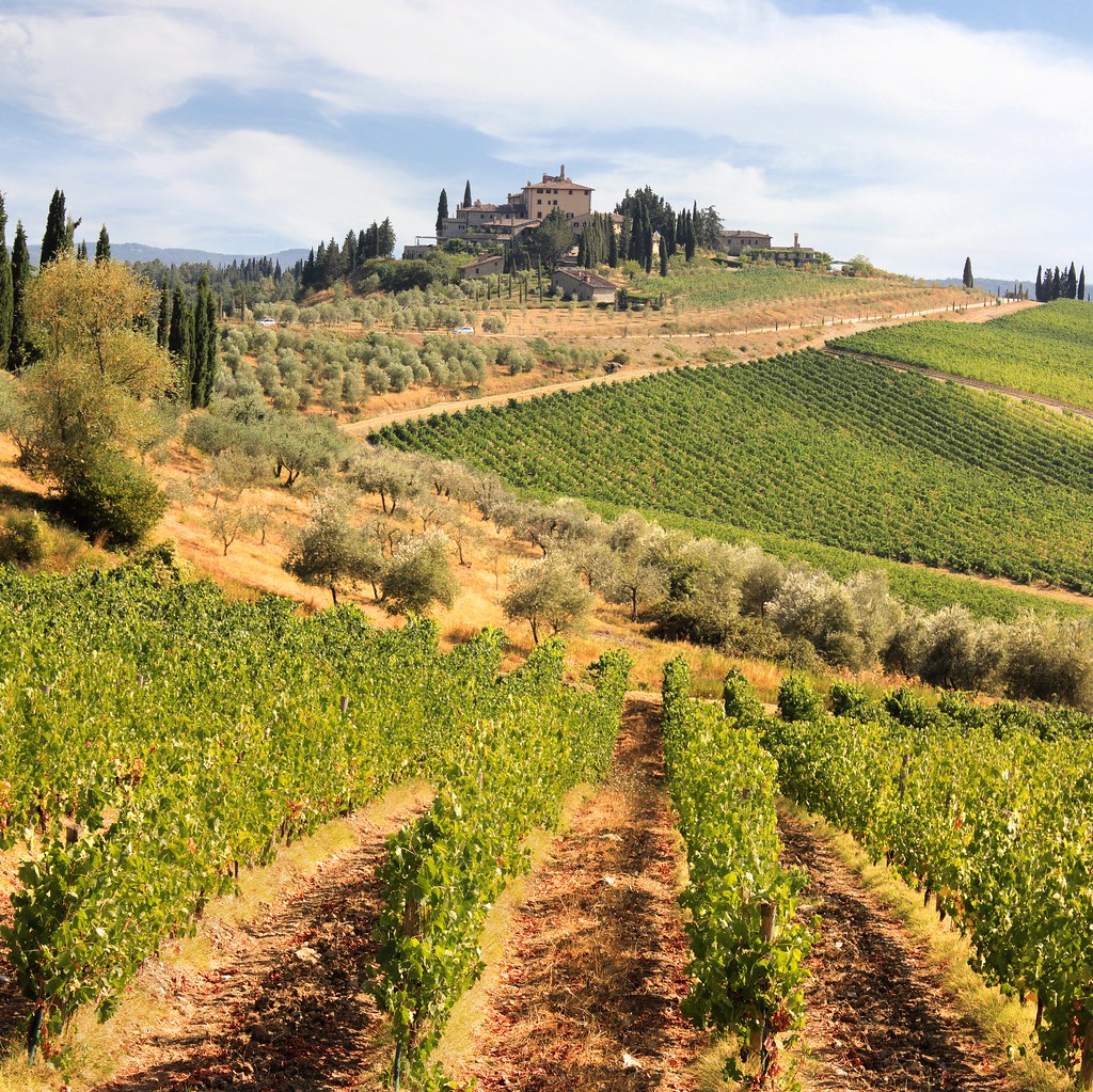 Chianti Vineyards And Olive Gardens In Tuscany C All Right Flickr