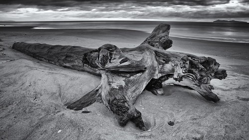 Marooned by Peter Knott, No shortage of driftwood....best viewed <a href="http://www.flickr.com/photos/peter_knott/7806209432