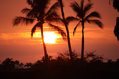 ocean sunset sky landscape hawaii palmtrees orangesky waikoloa