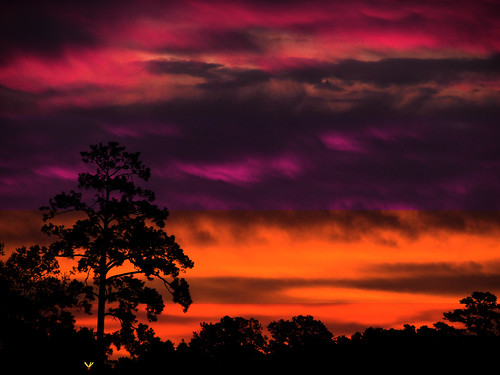 Colors by sharondipity1313,                                sky sun nature beautiful weather clouds sunrise skyscape golden color