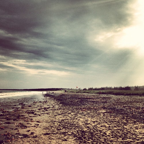 canada beach landscape novascotia pointmichaud instagram