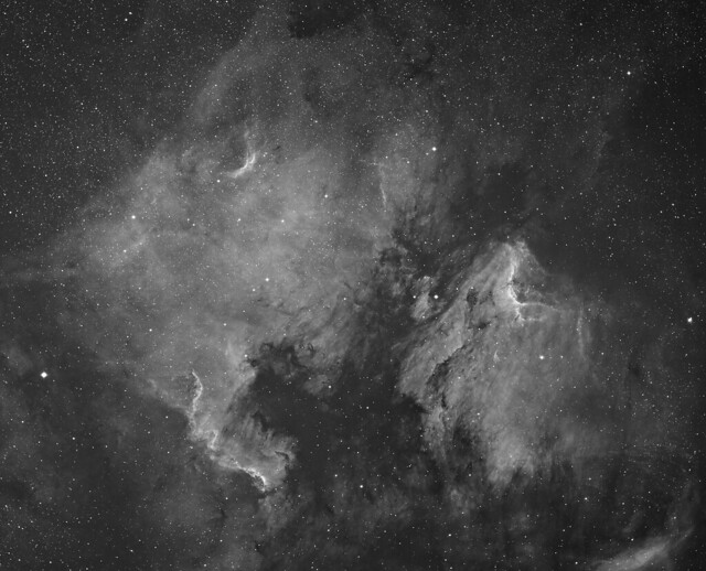 North American / Pelican nebulae region