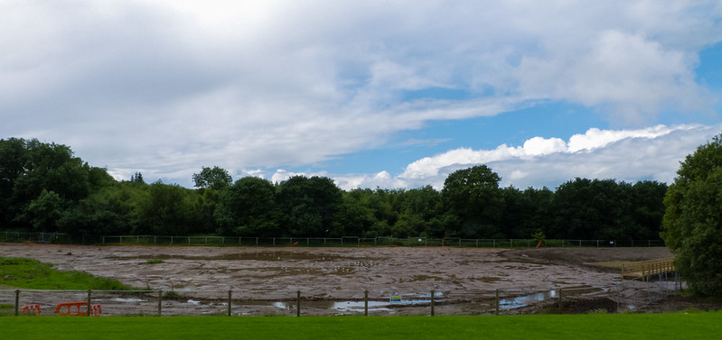 Former playing field, Smestow Valley