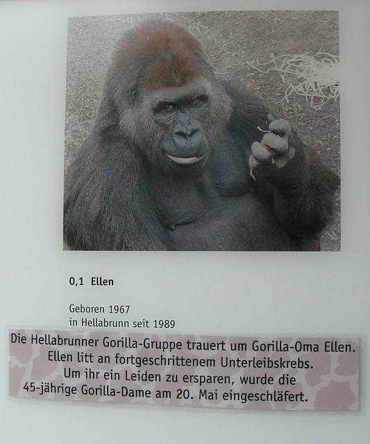 Zoo Munich: Ellen (1967 - 2012)