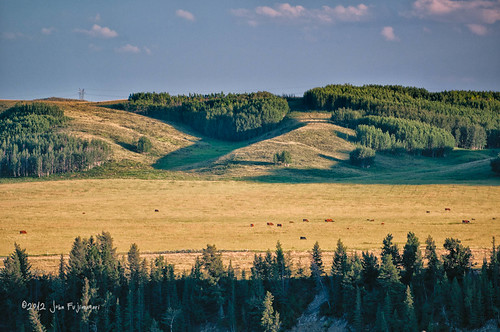 Distant Pasture by johnfuj, #SouthernAlbertaPhotowalk Glenbow Ranch Provincial Park Photowalk July 28, 2012park sunset foothills