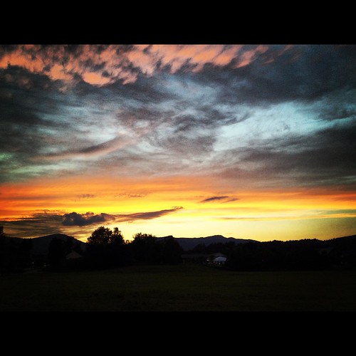 IMG_0823 by pinneyshaun,
