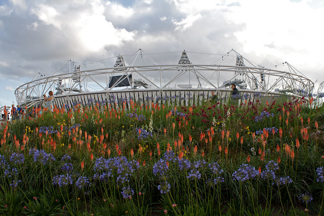 Olympic Riverbank Meadow