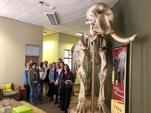 Day 2: Faculty Seminar participants pose with an elephant skeleton after a meeting with the Department of Zoology at University of Pretoria.
