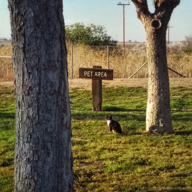 trespassing, Westley Roadside Safety Rest Area Northbound, February 17, 2018