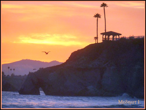 ocean trees sunset pelicans pacific palm surfe medhathi coastalandwaterviewsbymi