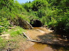 Hess Creek
