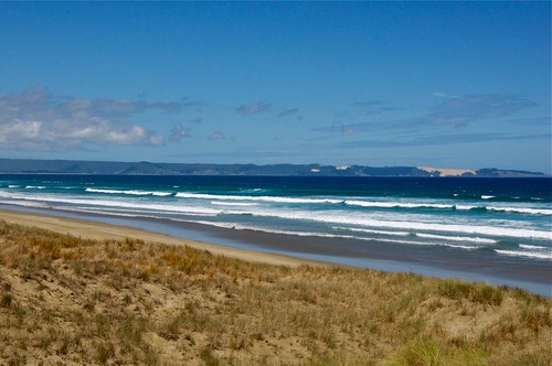 travel newzealand beach northisland rtw 90milebeach oceania travelwithkids travelwithchildren